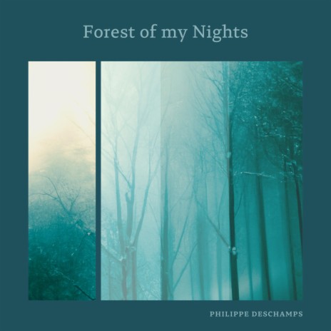 Forest of my Nights | Boomplay Music