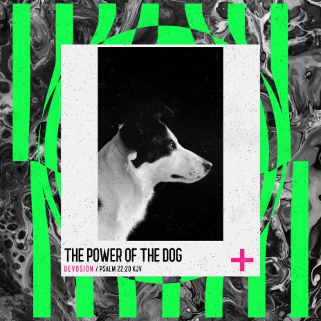 The Power of the Dog | Boomplay Music