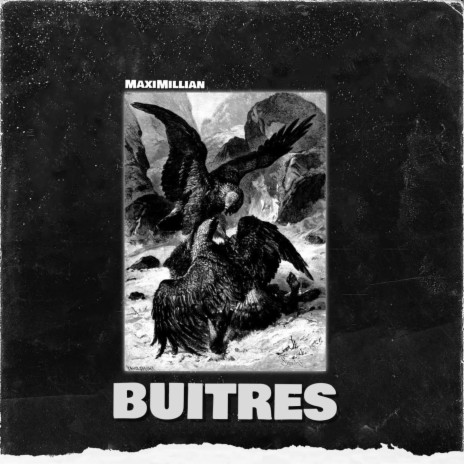 BUITRES | Boomplay Music