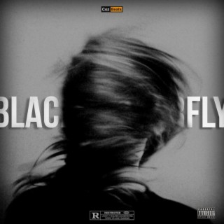 Black Butterfly-Trap