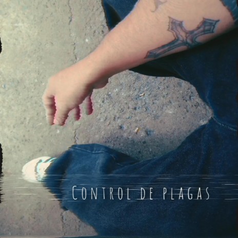 CONTROL DE PLAGAS