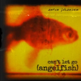 Can't Let Go (Angelfish)
