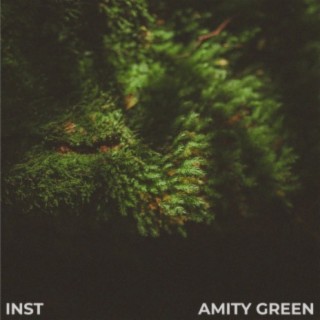 Amity Green