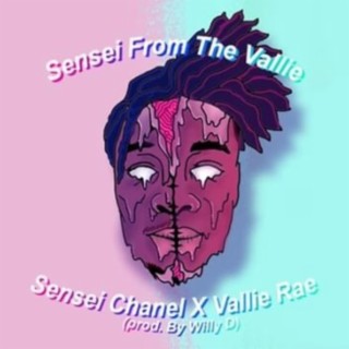 Sensei from the Vallie
