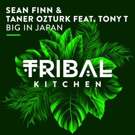 Big in Japan ft. Taner Ozturk & Tony T | Boomplay Music