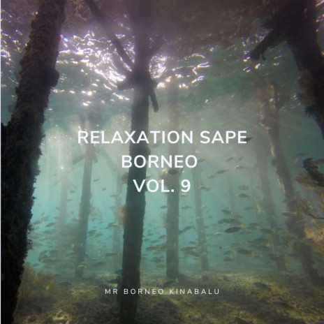 Relaxation Sape Borneo Vol. 9