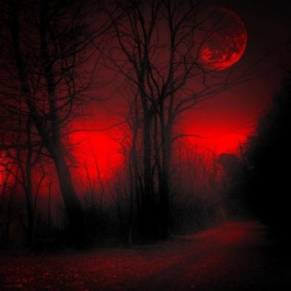 Refuge Under The Crimson Moon