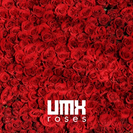 Roses | Boomplay Music