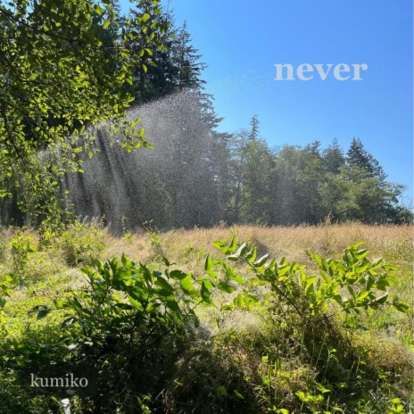 never | Boomplay Music