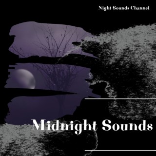 Midnight Sounds: Serene Night