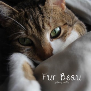 Fur Beau