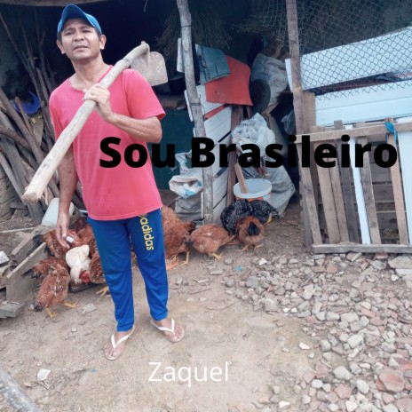 SOU BRASILEIRO (INSTRUMENTAL)