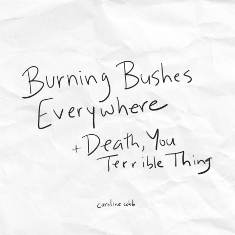 Burning Bushes Everywhere | Boomplay Music