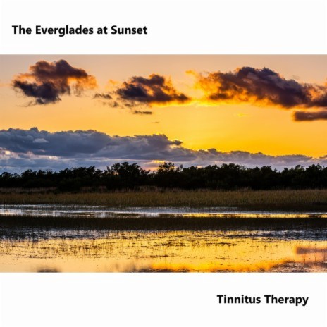 The Everglades at Sunset Tinnitus Therapy Nature Sounds | Boomplay Music