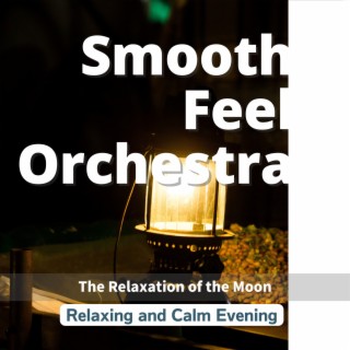 Relaxing and Calm Evening - The Relaxation of the Moon