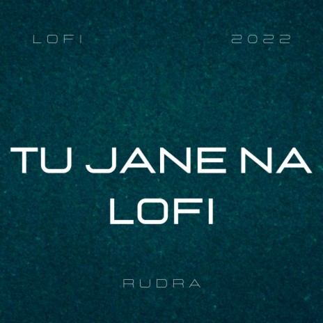 Tu Jane Na (lofi) | Boomplay Music