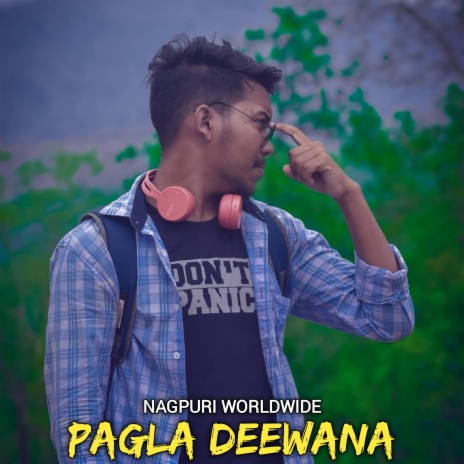 Pagla Deewana | Boomplay Music