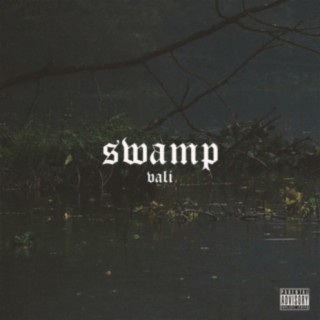 swamp