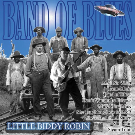 Little Biddy Robin | Boomplay Music