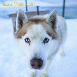 Music Dogs Love