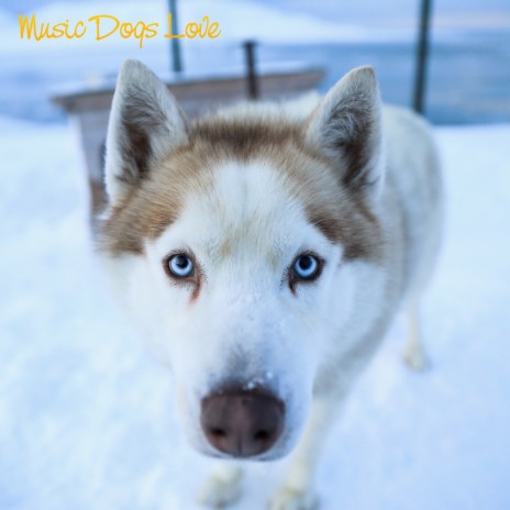 Open Up Your Heart ft. Calming for Dogs & Soothing Dog Sounds | Boomplay Music