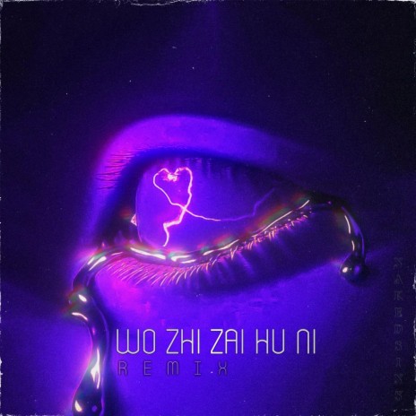 Wo Zhi Zai Hu Ni (Remix) | Boomplay Music