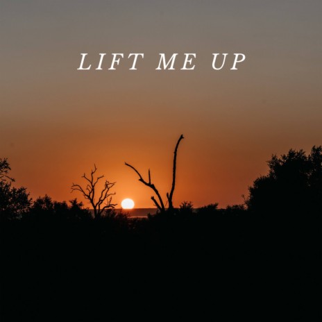 lift me up ft. Ni/Co