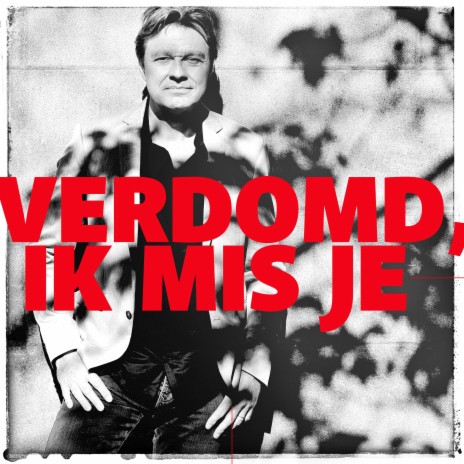 Verdomd, ik mis je (2024) | Boomplay Music