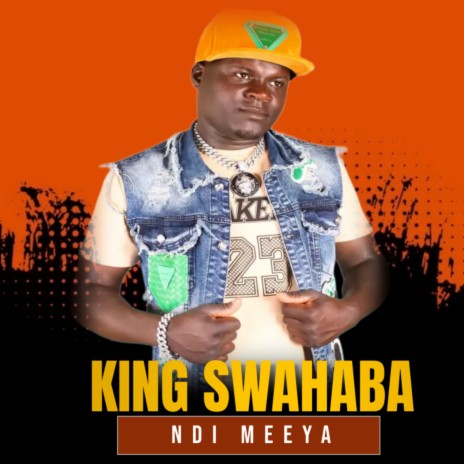 Ndi Meeya | Boomplay Music