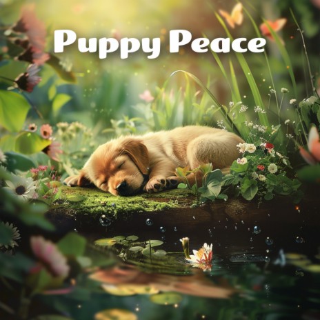 Puppy Peace Vol. 3 ft. Sounds Dogs Love & Relaxing Music for Dogs | Boomplay Music