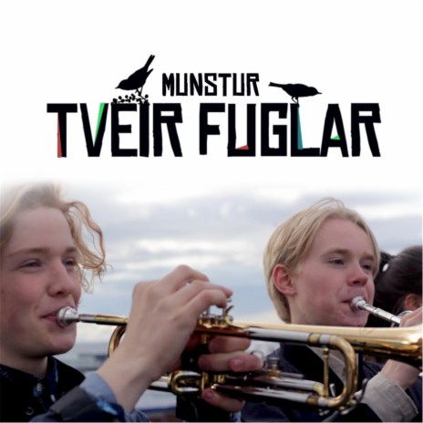 Tveir Fuglar | Boomplay Music