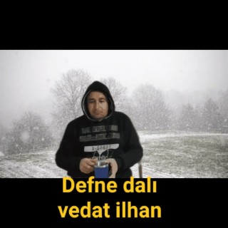 Defne dali Vedat ilhan