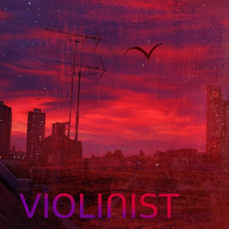 Violinist | Boomplay Music