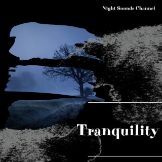 Tranquility: Gentle Night Sounds