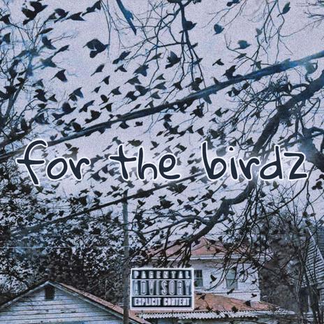 for the birdz | Boomplay Music