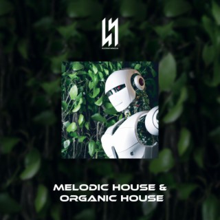 Organic House, Melodic Techno & Melodic House Original Mix (Deep Forest)