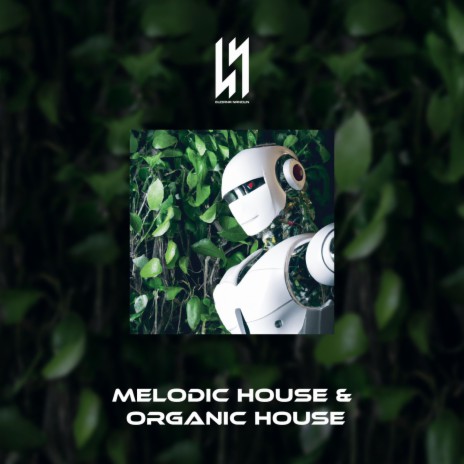 Organic House, Melodic Techno & Melodic House Original Mix (Deep Forest) | Boomplay Music