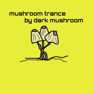 mushroom trance