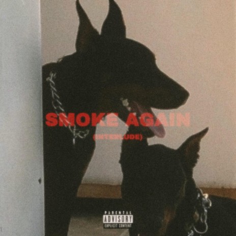 Smoke Again | Boomplay Music