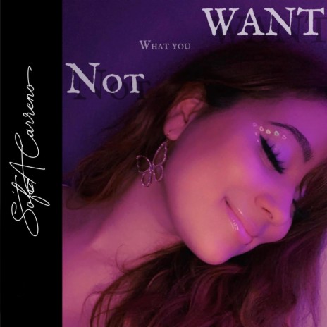 Not What You Want | Boomplay Music