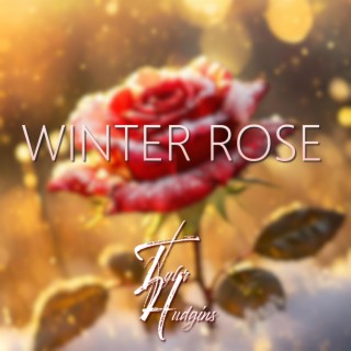 Winter Rose