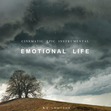 Emotional Life | Boomplay Music