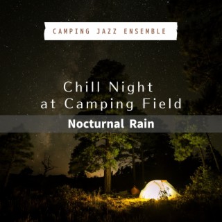 Chill Night at Camping Field - Nocturnal Rain