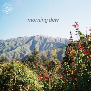 Morning Dew