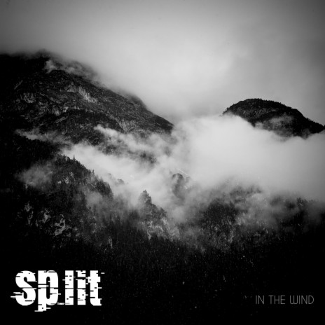 In the Wind ft. Hélio Siqueira-Simões