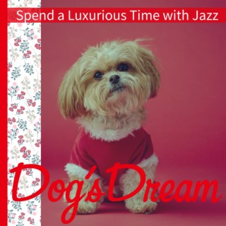 Spend a Luxurious Time with Jazz