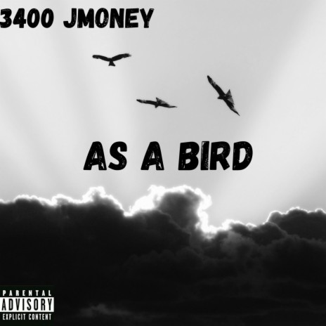 As A Bird | Boomplay Music