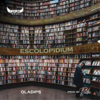 Escolopidium - (Funwonje) lyrics | Boomplay Music