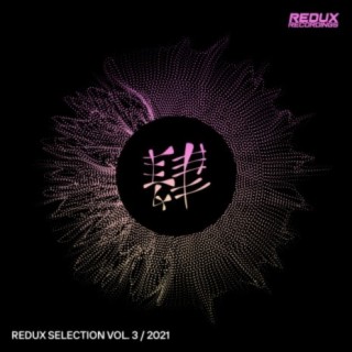 Redux Selection Vol. 3: 2021