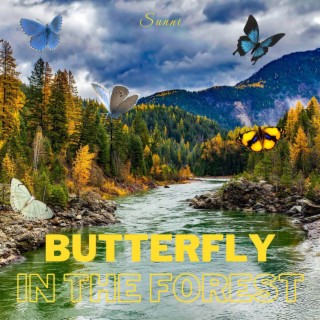 Butterfly in the forest